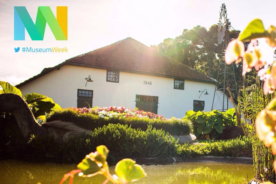 12910650_10207082692318993_1650956591_n